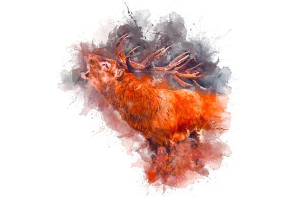 Animal Printables 300 Dpi Pack 08: Instant Decor