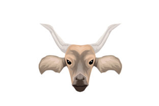 Animal Vector: A Creative Font for Modern Branding