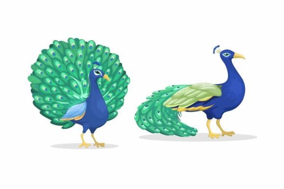 Peacock Animal Species Cartoon Set: Vibrant Visuals