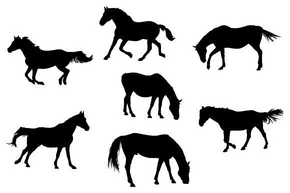 Unleashing Creativity with Horse Animal SVG Design
