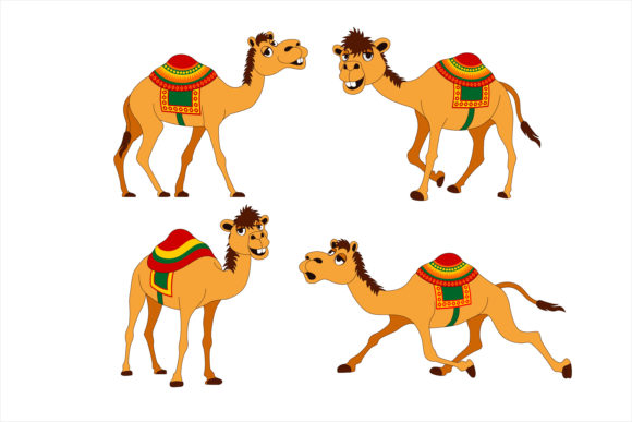 Unlocking the Charm of Cartoon of Animal Camels Vector